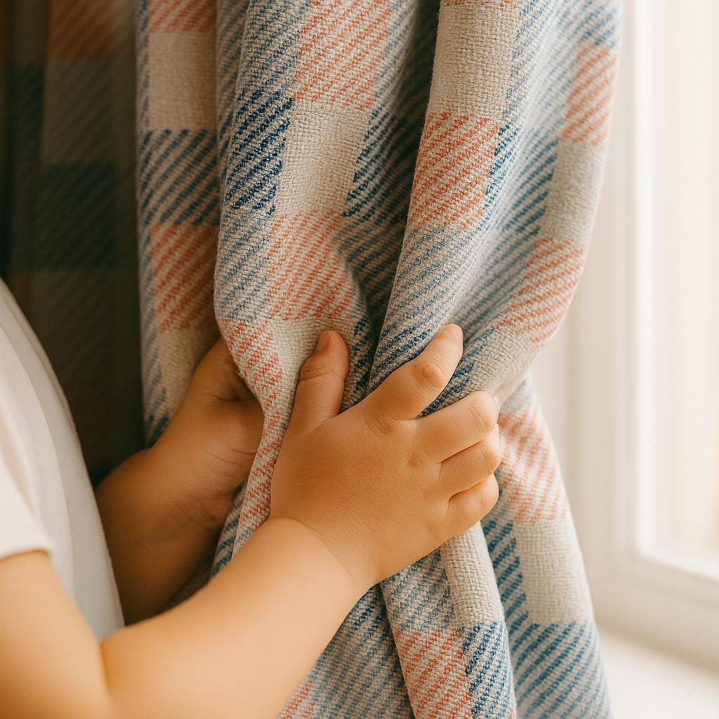 Gingham Curtains: Coral and Blue Velvet (Single Panel or Pair) — image 1